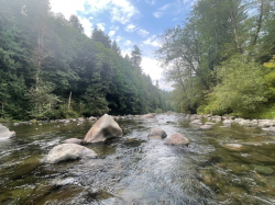 Photograph of the wild Salmon River in Oregon.